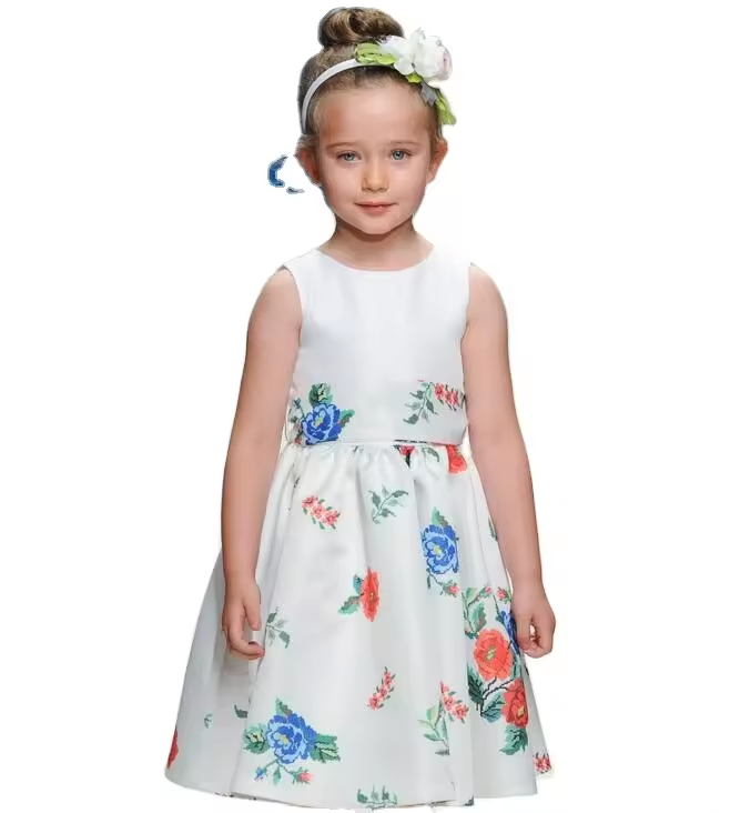 Little Girls Dresses Party Dress Sleeveless Chiffon Fabric Printed Floral Gathering Summer Design Style Dress